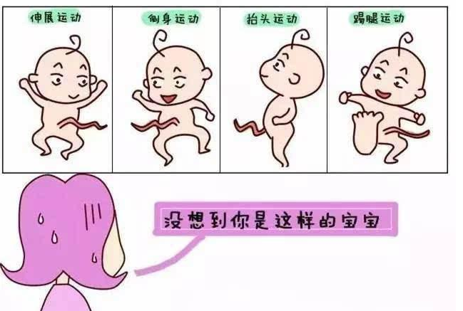 宝宝的世界：不要总认为我在妈妈肚子里什么都不会，其实我会很多